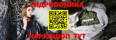СК Краснодар
