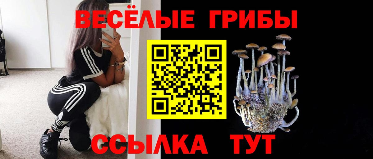 Псилоцибиновые грибы Magic Shrooms Канаш